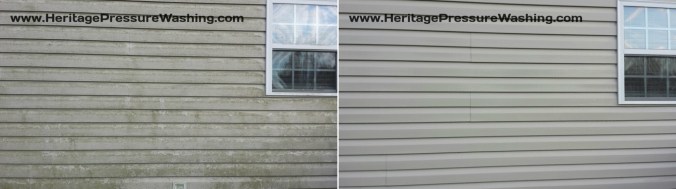 wp-1449863222324 image